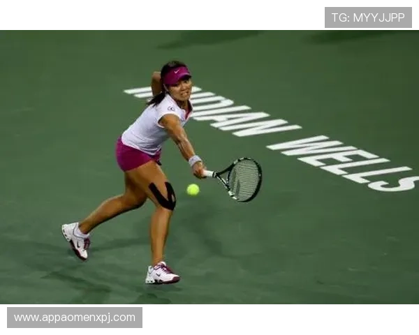 新葡京体育官网：丰富的体育博彩项目与高额奖金奖励机制分析