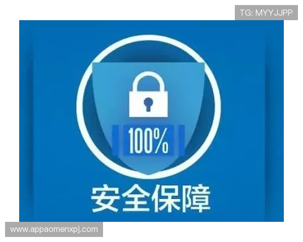 新葡京官方安全策略解析，保障玩家个人信息安全与资金安全的全面措施