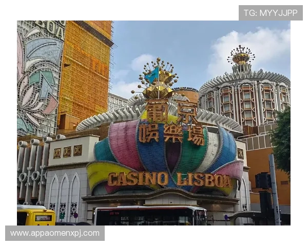 澳门新京真人手机版提供最全面的真人娱乐体验让你随时随地享受高品质的线上真人游戏体验