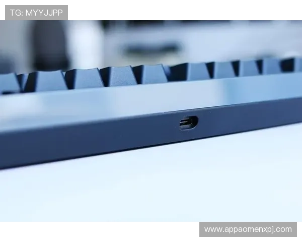 wm真人官方入口多平台同步登录，支持手机电脑多设备无缝切换体验