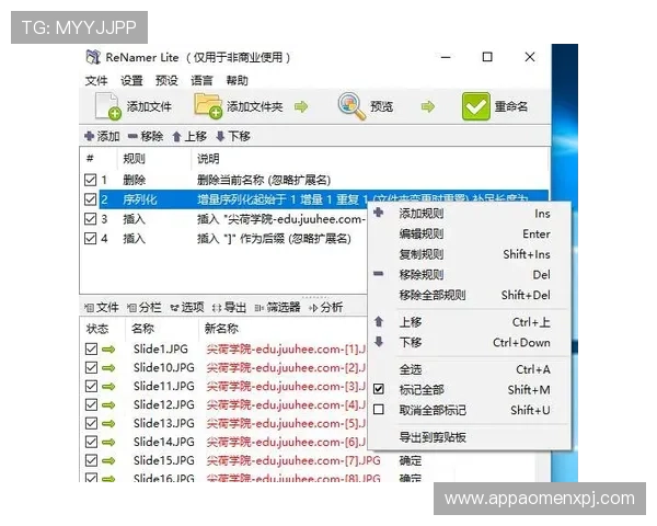 提升AG视讯全站登录成功率的实用技巧与注意事项